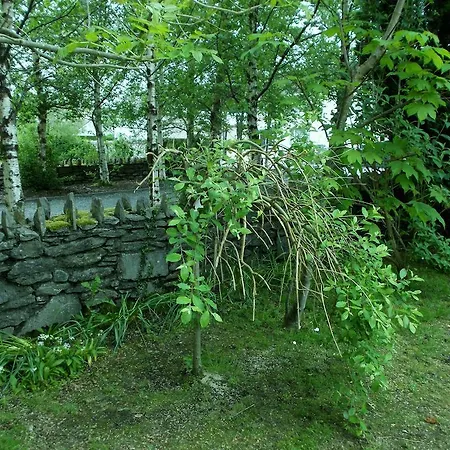 Bed & Breakfast Willow Kenmare